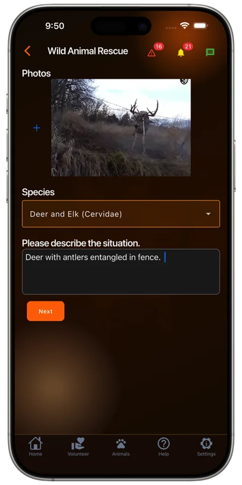 Describing a wild animal rescue in the Rescue Alert app, dark mode