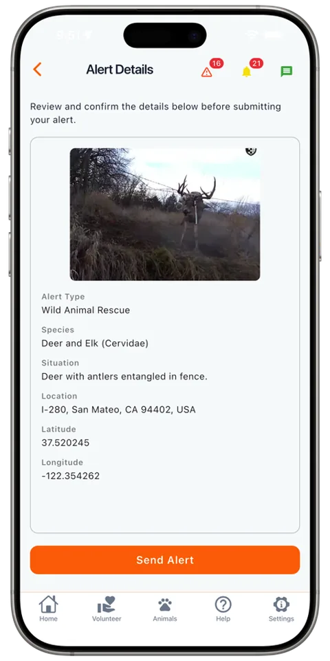 Reviewing and sending the alert in the Rescue Alert app, light mode